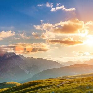 Meet your Posher, Xari